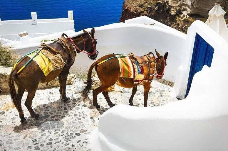 Santorini Greece with Sailors Delight Travel