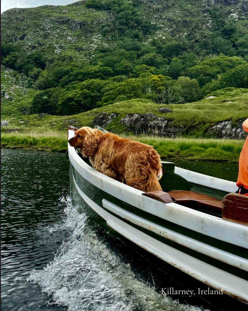 Killarney Ireland