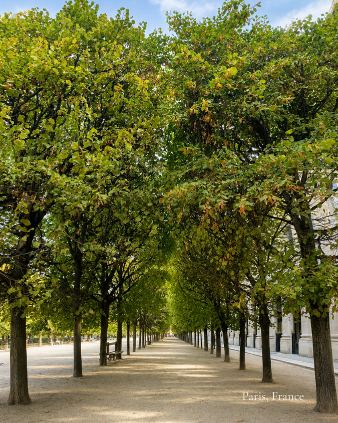 Jardins du Palais Royal - Paris